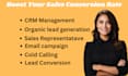 be a professional sales closer sales representative expert sales closer b2b