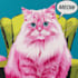 make a beautiful wpap pet pop art portrait