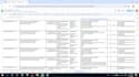 provide expert manual software testing
