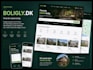do ai website development, ai web application and ai software, ai mobile app dev