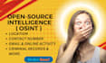 provide you osint investigation  background check and private detective