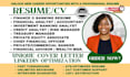 write finance, banking resume, fintech, private equity, investment, remote cv