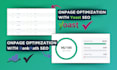 do complete on page SEO and technical optimization for your wordpress website