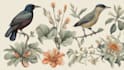 draw animal and botanical illustrations
