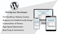 create professional wordpress website  development