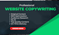 do your website copywriting and write website content