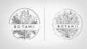 create hand drawn botanical boho logo designs