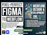 expert webflow developer for custom websites