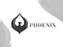 design new stylish mascot phoenix logo with express delivery