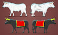 do professional 2d character design illustration and cartoon character animation