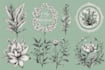 create hand drawn botanical boho logo designs