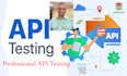 perform professional API testing with detailed reports