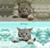 teach you pro level photoshop very easily