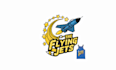 design extraordinary flying jet logo