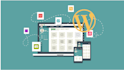 do perfect wordpress developer