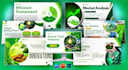 do animated powerpoint presentation and slideshow presentation