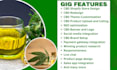 build 7fiigures shopify cannabis website cbd store vape store cbd shopify store