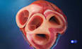 create 3d medical explainer video 3d medical animation 3d cgi medical animation