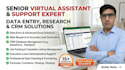 be your expert virtual assistant for data entry, excel, web search, job posting