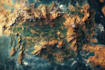 create a high quality fantasy map