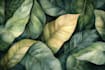 draw botanical food illustration art