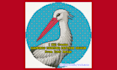 create diamond painting pattern design from your image
