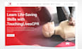 do wordpress web development, web designer ,web developer ,wordpress development