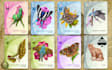 draw exclusive cards for fantasy and any board game