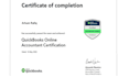do bookkeeping, cleanup, setup in quickbooks online, xero, wave, excel