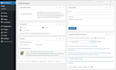 design and develop a professional wordpress website