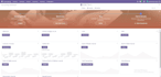 your odoo technical functional consultant