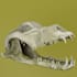 create high quality 3d creatures models