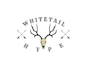design awesome beautiful deer logo