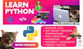 teach you python programming language
