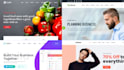 develop professional websites and web apps with full stack support