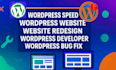 optimize wordpress speed, fix issues, and redesign your website