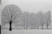 draw black and white illustration