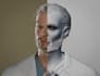 teach you 3d sculpting