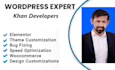 develop or redesign a professional wordpress website