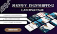 design professional shopify landing page website