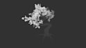 create custom tree 3d model with wind effect