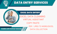 do perfect data entry,web research and copy paste