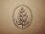 create hand drawn botanical boho logo designs