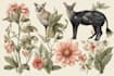 draw animal and botanical illustrations