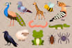create faceless animal illustrations for kids