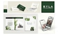 design graphics ads social media posts printed posters product