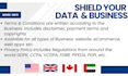 write privacy policy, terms and conditions with gdpr, ccpa