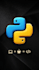 do python programming, coding projects and ai bots for you