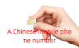 can provide chinese mobile phone number