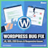 fix wordpress bug in SEO, js, HTML, CSS, responsive issues